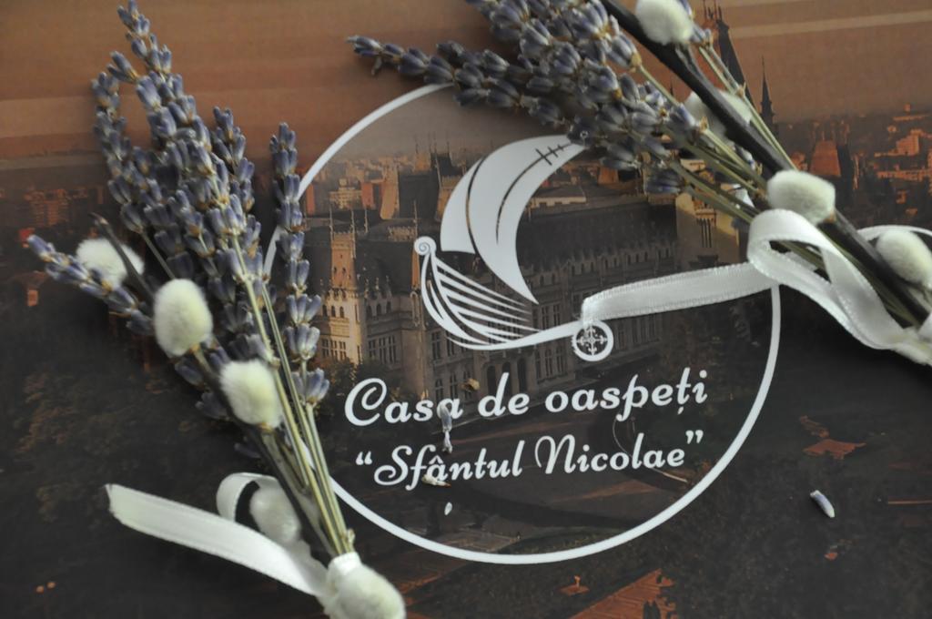 Casa De Oaspeti Sfantul Nicolae Iasi Exteriér fotografie